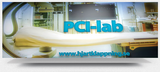 PCI-lab